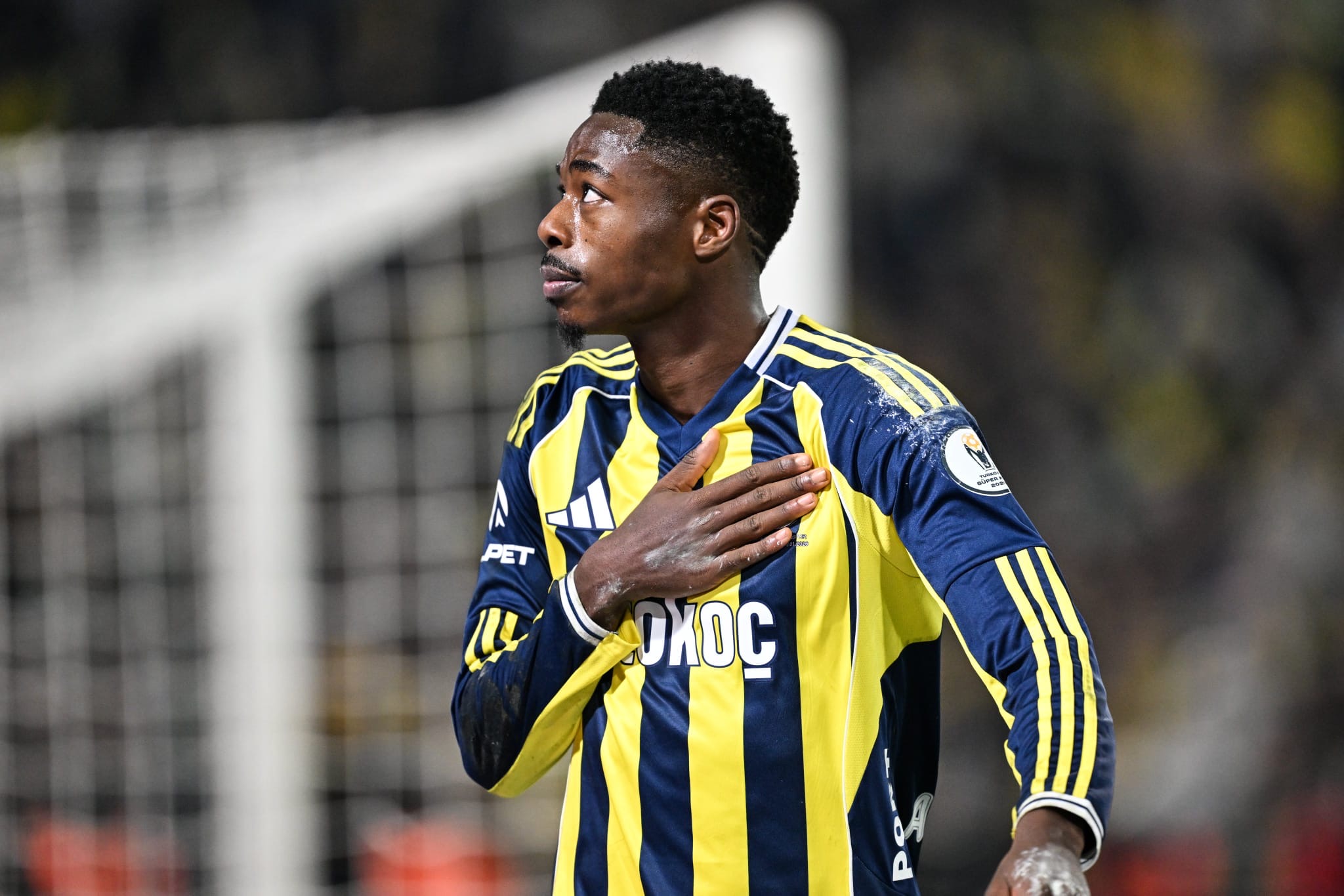 Fenerbahçe : 2-0 : Samsunspor