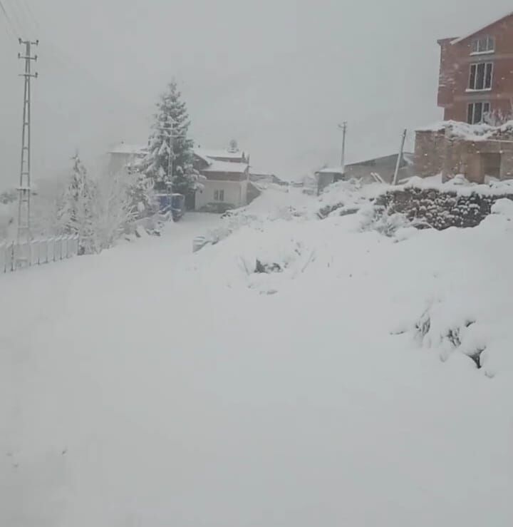 D O G U K A R A D E N I Z D E 371 K O Y V E M A H A L L E Y O L 1187243 352760