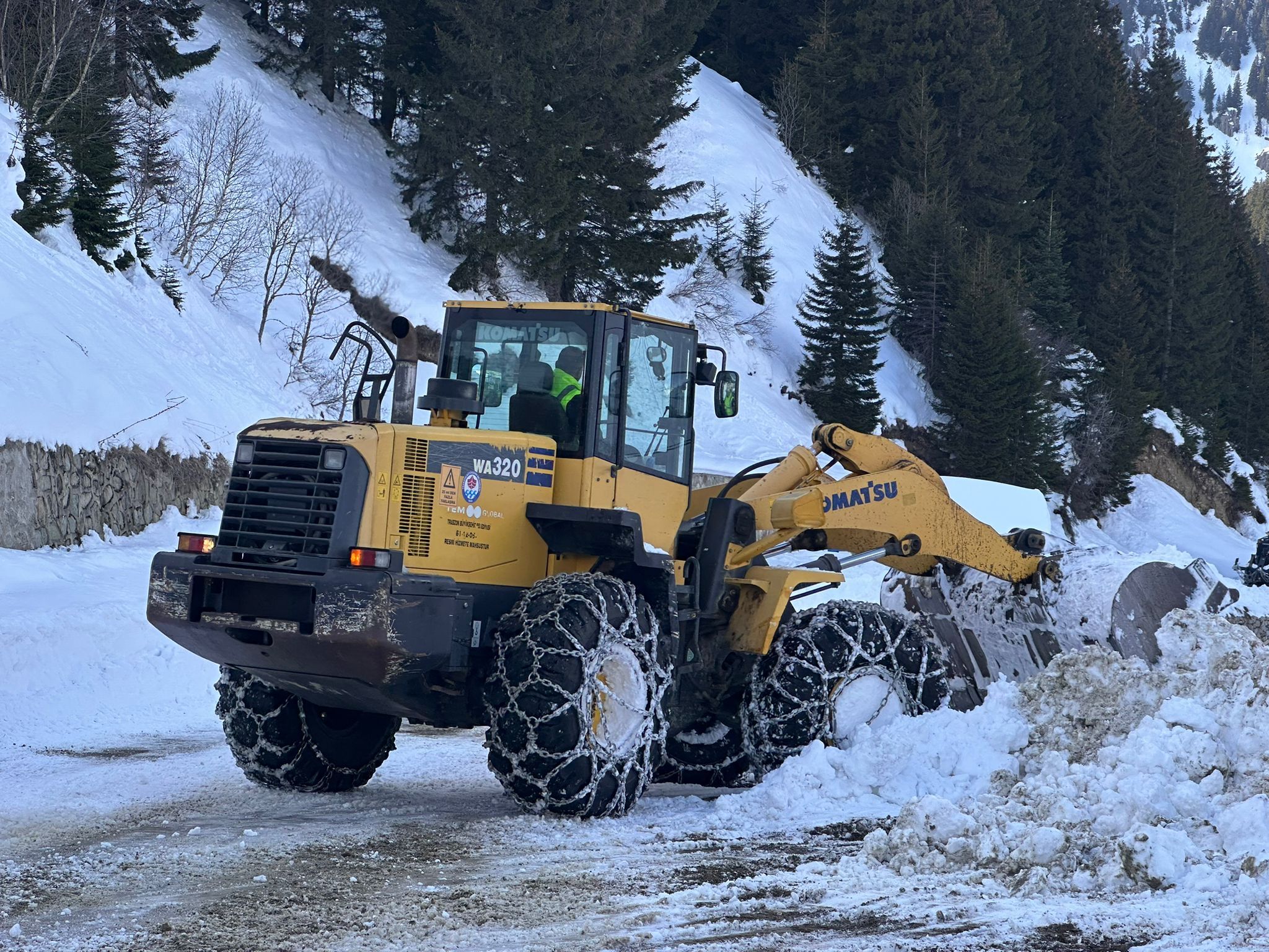 D O G U K A R A D E N I Z D E 371 K O Y V E M A H A L L E Y O L 1187251 352760