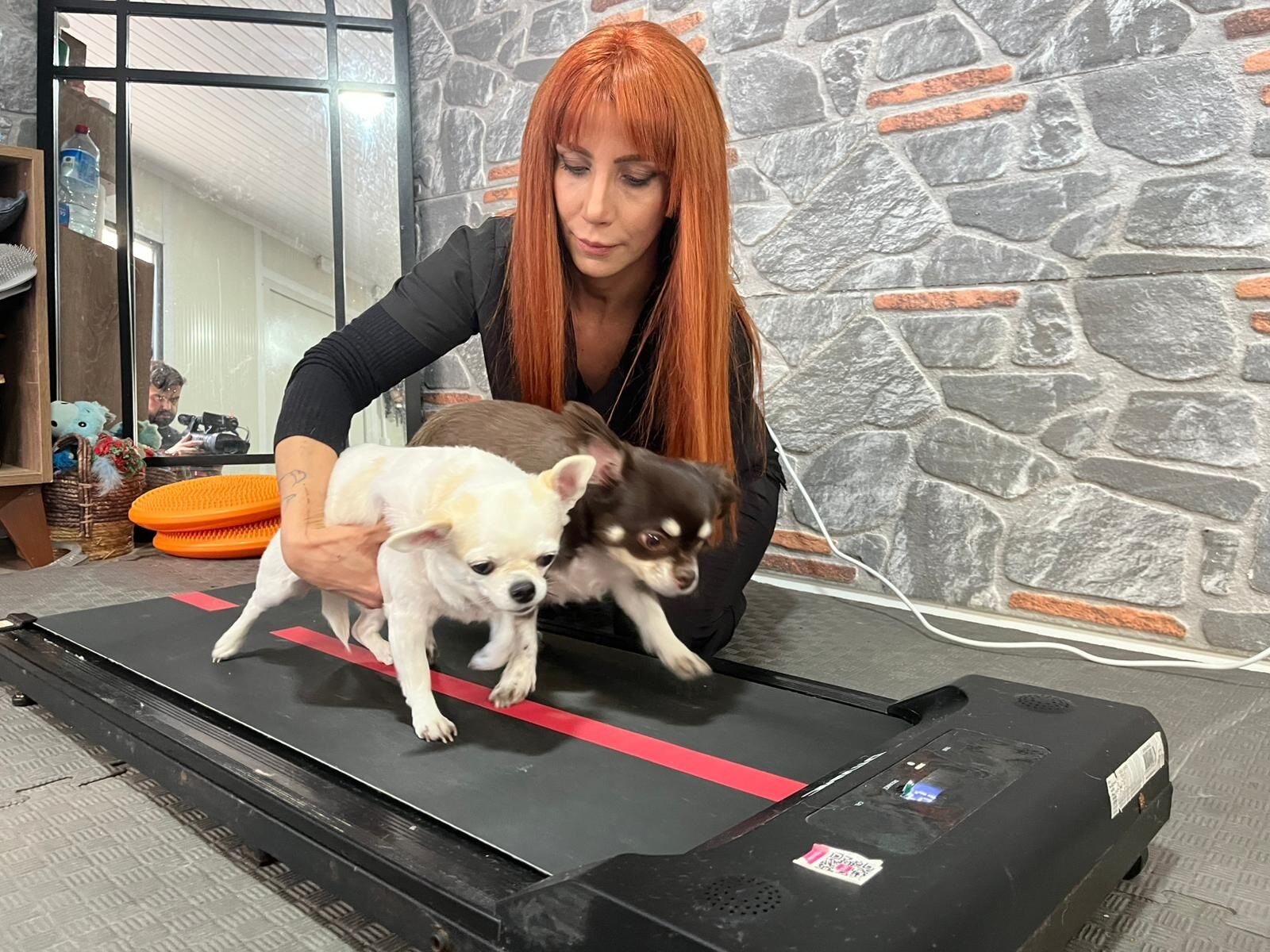 O B E Z I K I Z K O P E K L E R S P O R V E P I L A T E S L E Z A 1177695 349850