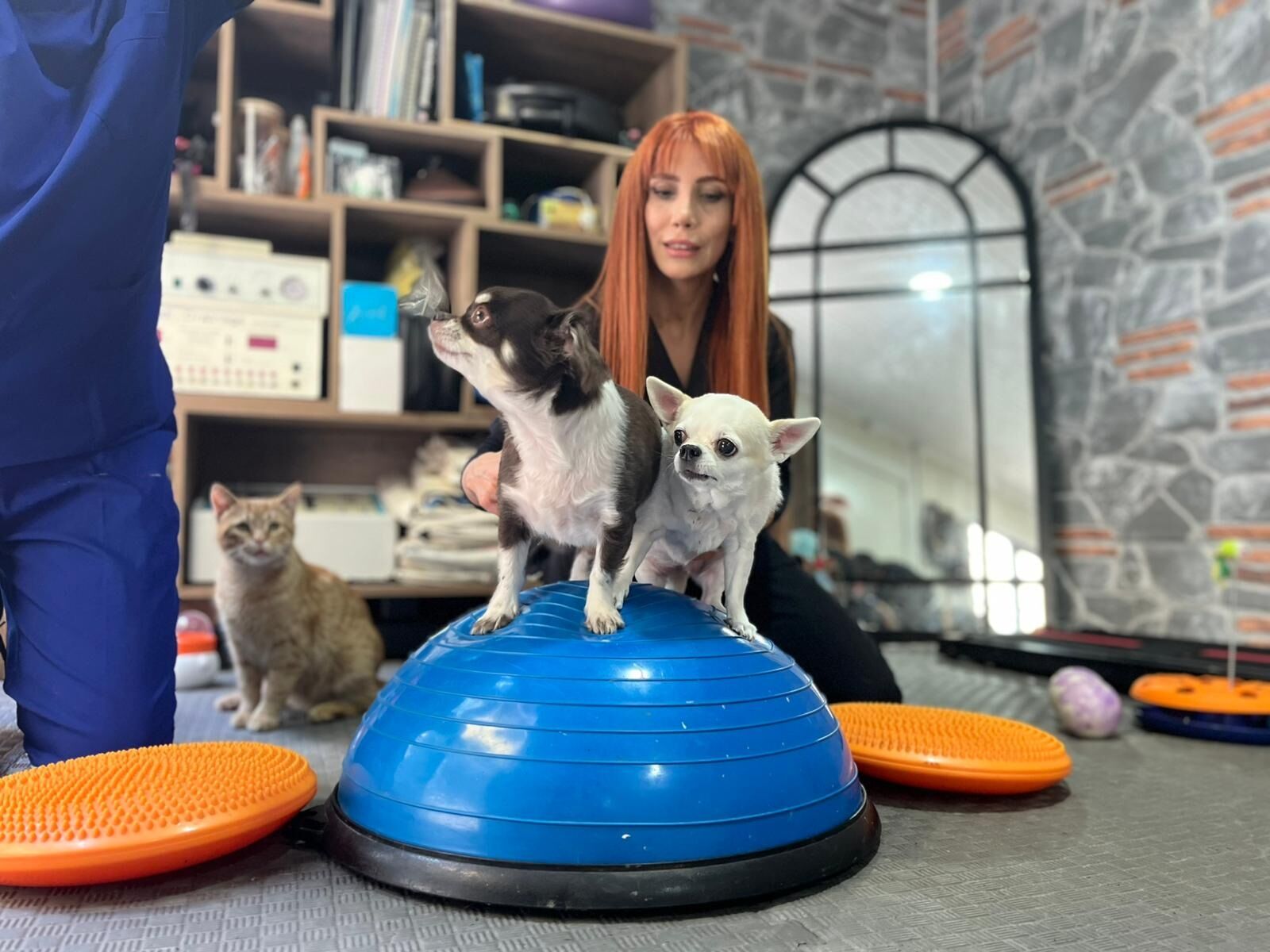 O B E Z I K I Z K O P E K L E R S P O R V E P I L A T E S L E Z A 1177698 349850