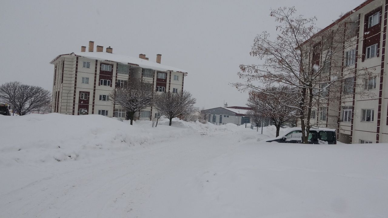 Bitlis'te 128 yerleşim yeri ulaşıma kapandı
