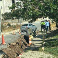 YEREL