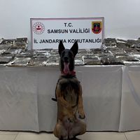 ASAYİŞ