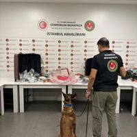 ASAYİŞ