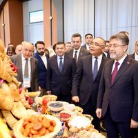 POLİTİKA