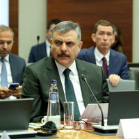 POLİTİKA