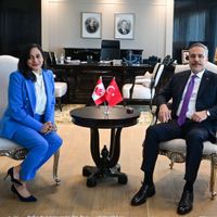 POLİTİKA
