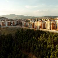 EKONOMİ
