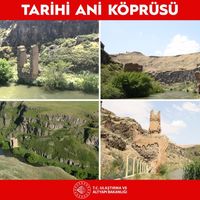 POLİTİKA