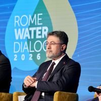 POLİTİKA