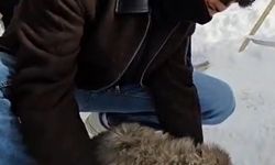 Ardahan’da dondurucu soğukta hayvanları beslediler