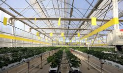 Gaziantep'te 40 bin konutun elektriği çöpten