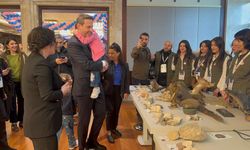 Bakan Bayraktar: Doğal gaz ve elektrik desteğimiz devam edecek