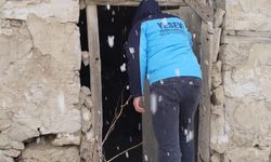 Kayıp olarak aranıyordu; 24 saat sonra serada bulundu