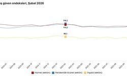 TÜİK: Güven endeksi perakende ticarette arttı, inşaat sektöründe azaldı