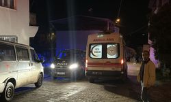 Aydın'daki ev yangınında 2 kardeş dumandan etkilendi