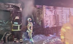 Bursa'da buğday yüklü TIR alev alev yandı