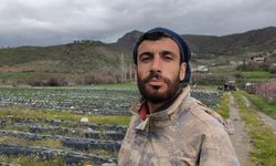 Coğrafi işaretli Sason çileğinde hasat mayısa kaldı