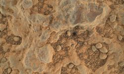 Mars'ta yaşamın yapı taşları bulundu
