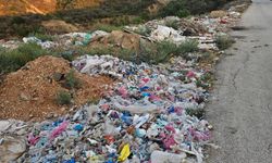 Tek kullanımlık plastik yönetmeliğine uzmanından 'üretim kısıtlaması' önerisi
