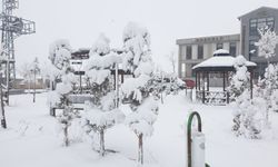 Van'da kar yağışı; 93 yerleşim yeri ulaşıma kapandı