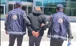 Durdurulan kamyondan 10 kaçak göçmen çıktı, sürücü tutuklandı