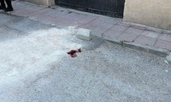 3'üncü kattan düşen 3 yaşındaki çocuk ağır yaralandı