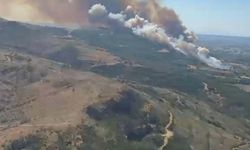 Çanakkale'de orman yangını