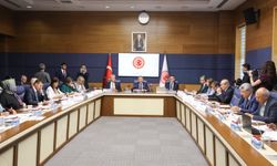 Fuat Oktay: Avrupa Parlamentosu'nda TSK ile akıl dışı iddialar içeren kararlar yok hükmünde