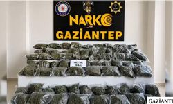 Gaziantep merkezli 14 ilde 'Narko Kapan' operasyonu; 382 gözaltı
