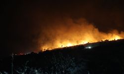 İzmir'de maki yangını