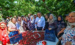 Özgür Özel: Siyasi hesaplaşmanın tarafı evlatlar olamaz