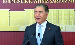CHP'li Emir: Çerçeve yasanın geciktiği kanaatindeyiz