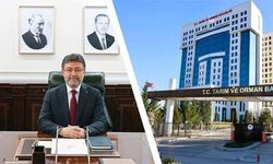 Taklit-tağşiş gıdalar listesine 28 yeni ürün eklendi