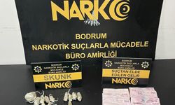 Bodrum'da uyuşturucu operasyonu; 2 tutuklama