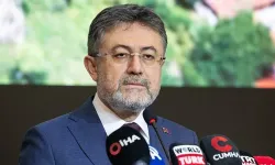 Bakan Yumaklı: Buca, Çine ve Susurluk'taki orman yangınları kontrol altında