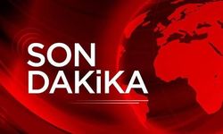Alihan Kuriş'in ifadesi ortaya çıktı