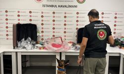 İstanbul Havalimanı'nda 20 kilo 260 gram metamfetamin ele geçirdi