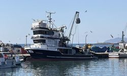 Tekirdağ'da palamut bereketi