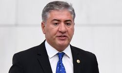 Yeni Partili Emir: TBMM'nin fon krizini görüşmesi şarttır