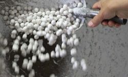 Bolu'nun 100 yıllık fındık şekerinde ham madde sıkıntısı