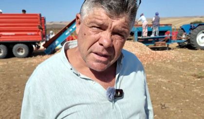 Coğrafi işaretli Tekirdağ soğanında hasat başladı