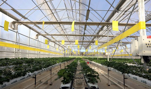 Gaziantep'te 40 bin konutun elektriği çöpten