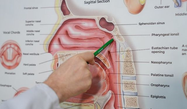 Uzman görüşü: 'Çocuklarda tekrarlayan kulak iltihabı veya geçmeyen öksürüklerin sebebi geniz eti olabilir'