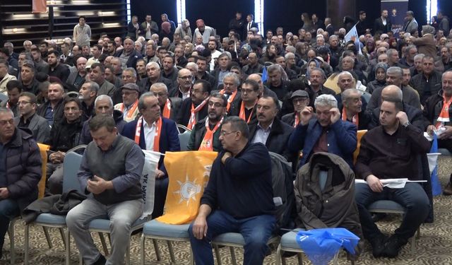 AK Parti'li Elitaş: Bir bakanın yeminini engellemek tamamen demokrasiyi askıya almak demektir