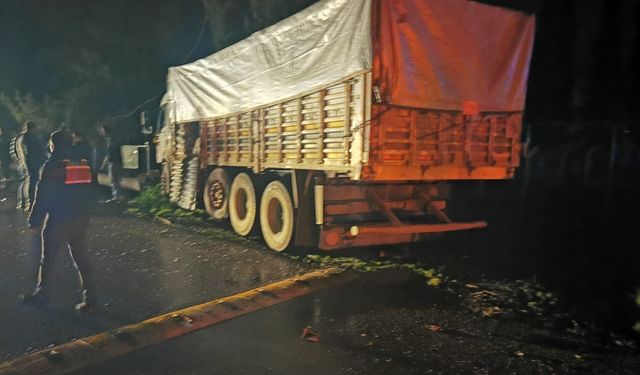 Bursa'da kamyon ile minibüs çarpıştı: 2 yaralı