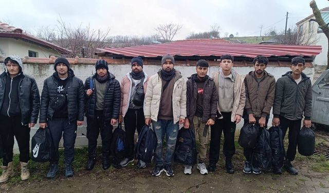 Edirne'de 9 kaçak göçmen yakalandı