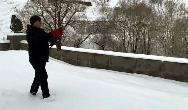 Kars'ta tedavileri tamamlanan 3 şahin doğaya salındı