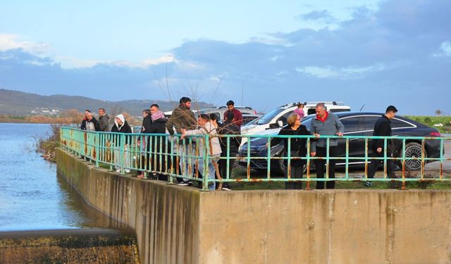 Manisa'da Bağyolu Barajı taştı, vatandaşlar su salımını izlemeye koştu